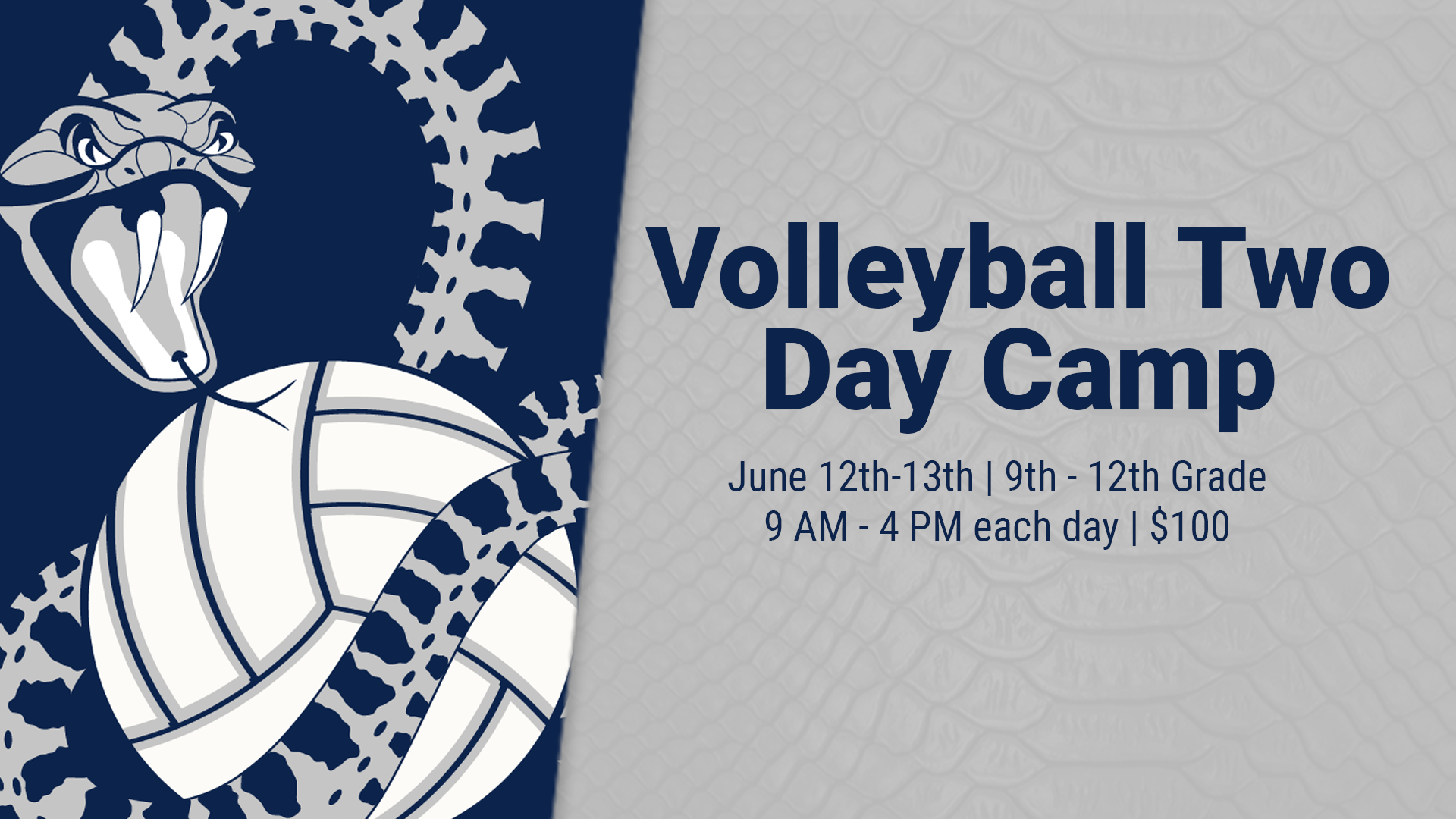 Volleyball Two Day Camp